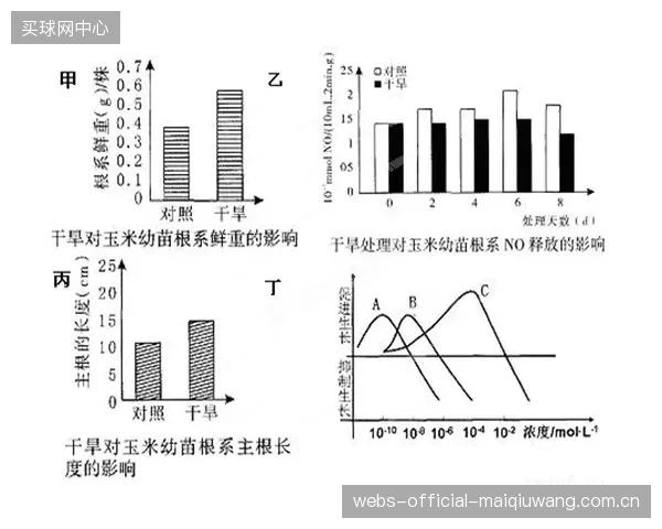 运动科学研究的新维度：精确的赛道冲击弹性变形系数正帮助生物力学专家解析顶尖选手释放能量与控制球路的微小差异